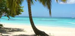 Découverte écosystème Ile de Saona