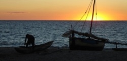 Découverte écosystème Baie de Baly