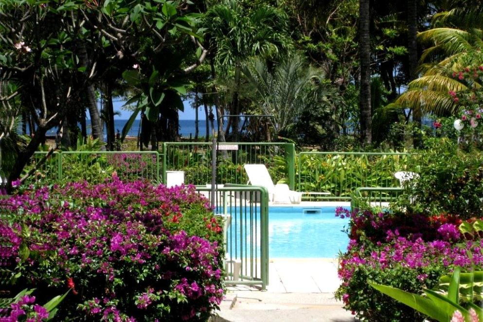 location résidence fleurs des iles grande anse deshaies guadeloupe
