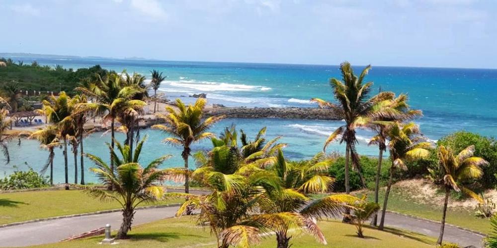 Location Studio Le Surellier à Saint François en Guadeloupe - Ref : AG462